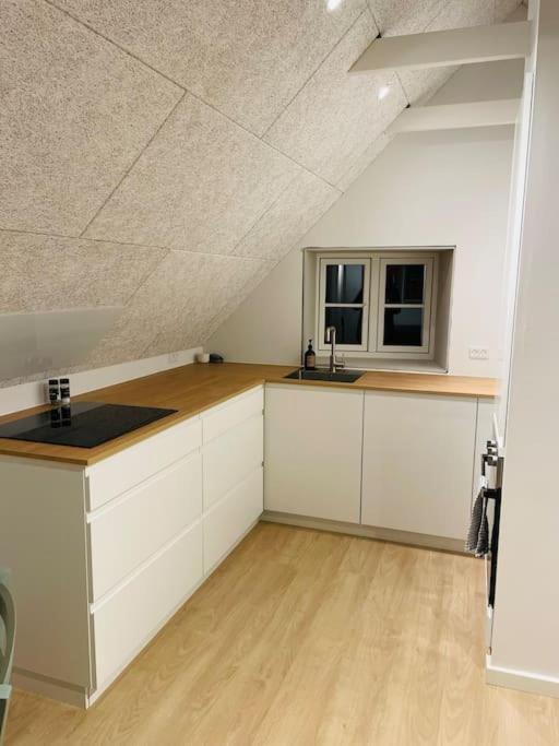 Lejlighed I Naturskont Omrade Silkeborg Buitenkant foto
