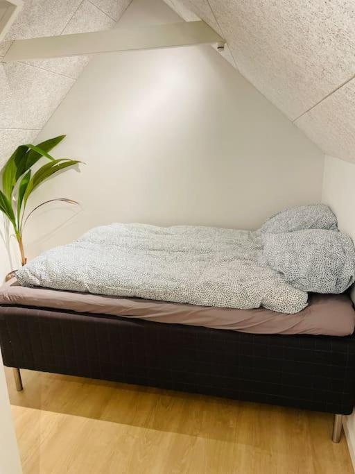 Lejlighed I Naturskont Omrade Silkeborg Buitenkant foto
